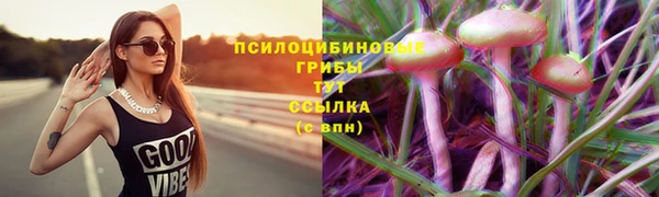 гашиш Дмитров