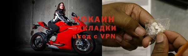 прущая мука Дмитриев