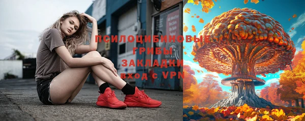 прущая мука Дмитриев
